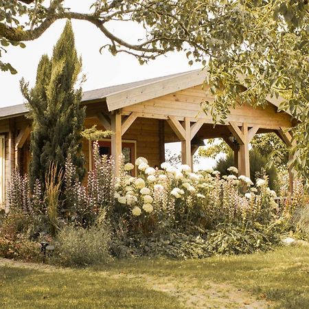 Chalet Ben In Broek Benningbroek Экстерьер фото