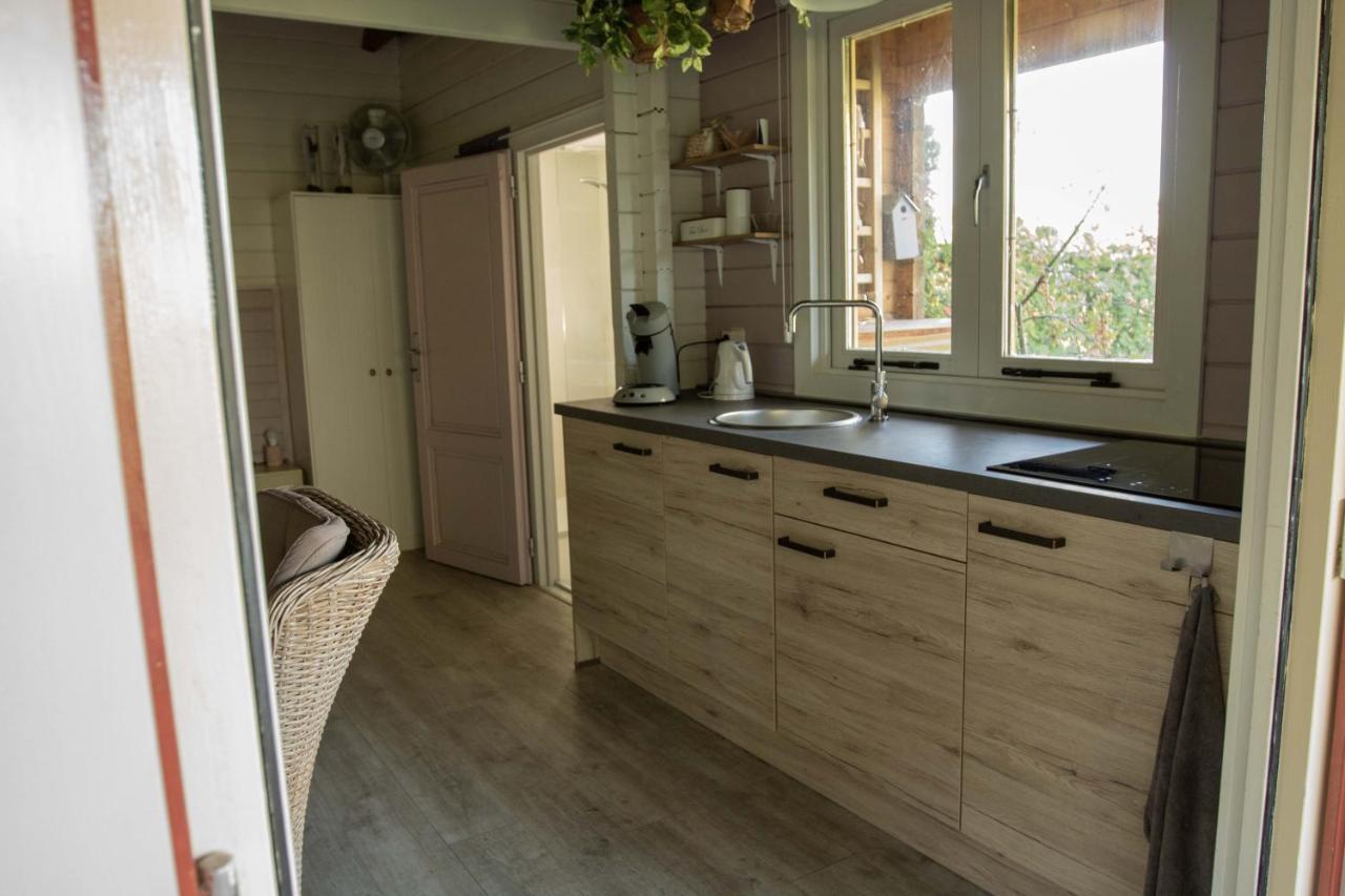 Chalet Ben In Broek Benningbroek Экстерьер фото
