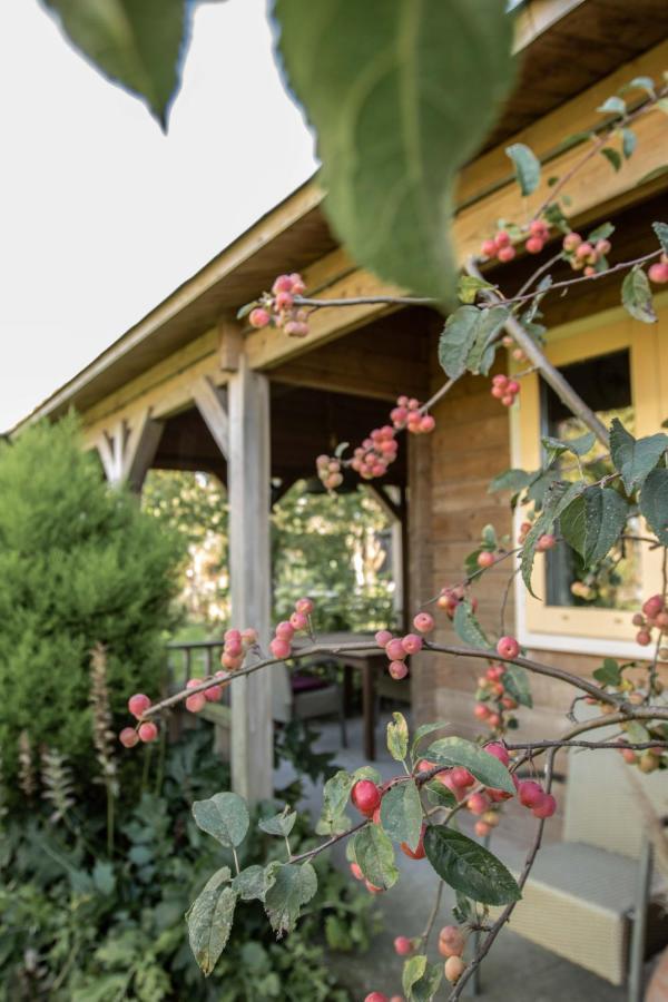 Chalet Ben In Broek Benningbroek Экстерьер фото