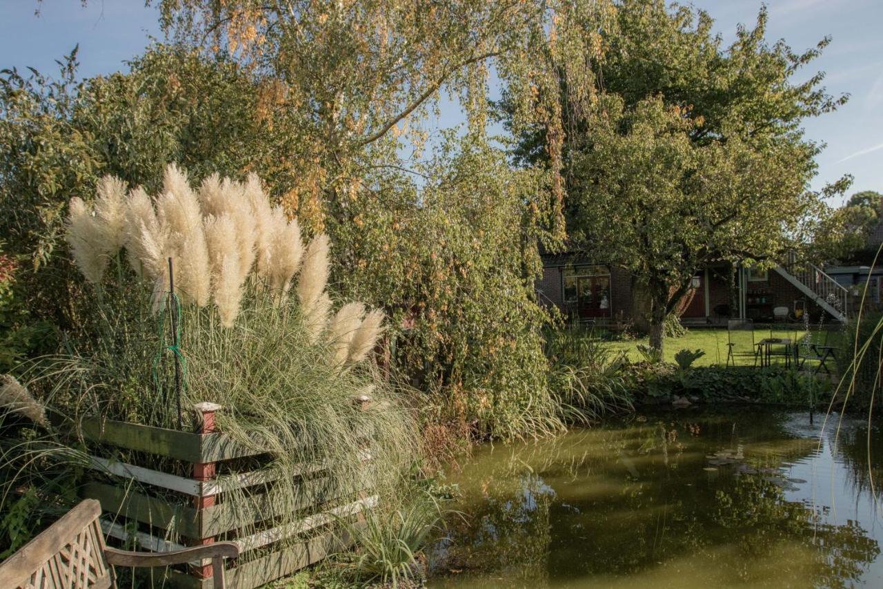 Chalet Ben In Broek Benningbroek Экстерьер фото